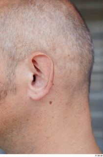 Street  776 ear 0001.jpg